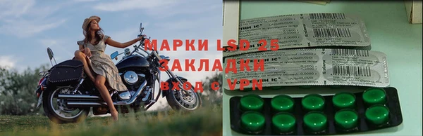 spice Белокуриха