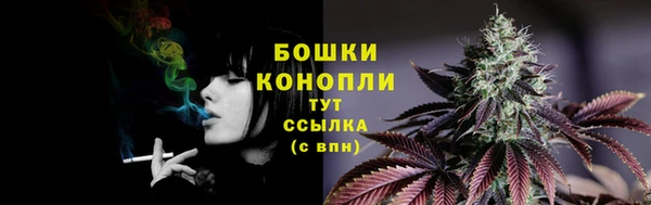 spice Белокуриха