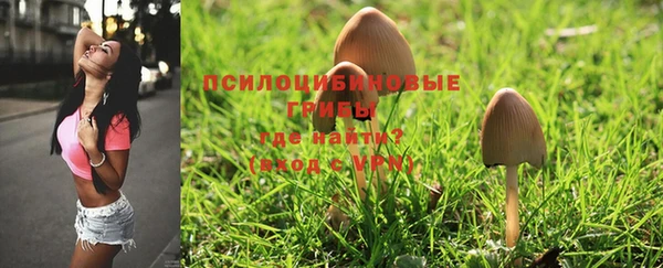 spice Белокуриха