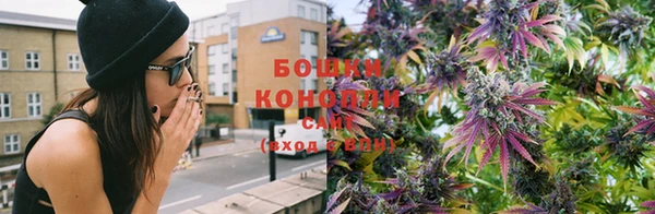 spice Белокуриха