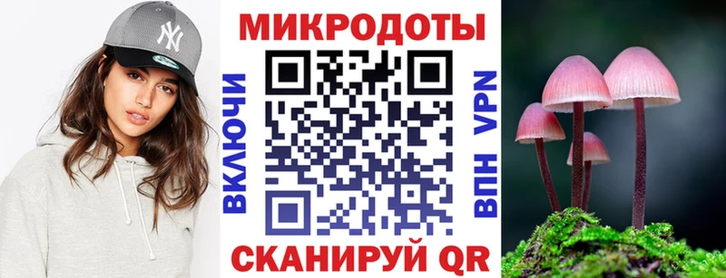 наркота  Борисоглебск  Псилоцибиновые грибы Psilocybe 
